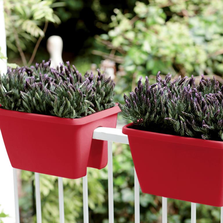 Fleur Opa's balkon of terras op met vrolijke bloempotten Cadeau voor