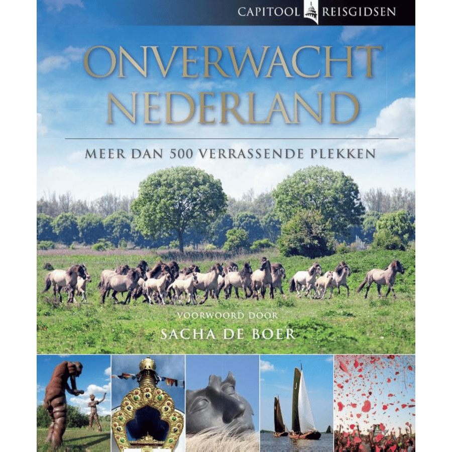 cadeau voor een actieve man - reisgids Onverwacht Nederland