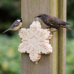 Vettraktatie vogels klein cadeautje kerstmis - vettraktatie vogels