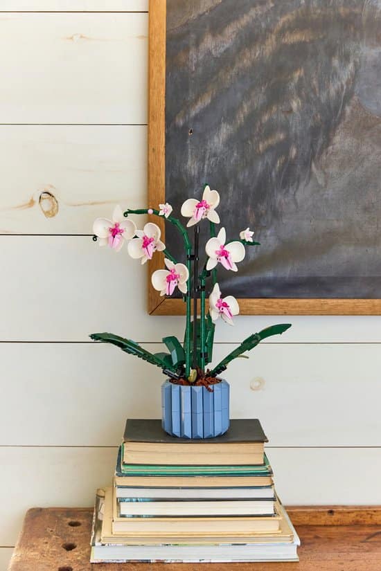 Orchidee - Lego bouwset volwassenen