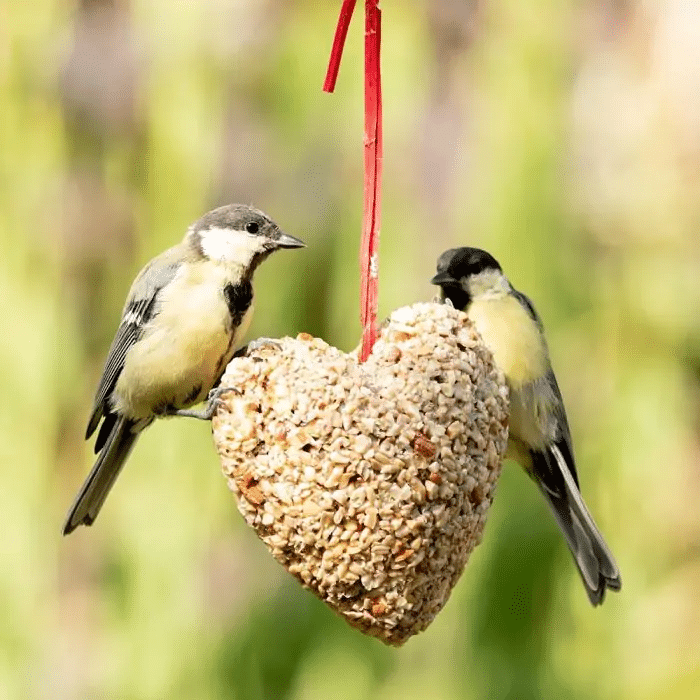 klein kerstcadeautje voor Opa - vogelvoer hartje