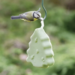 vettraktatie vogels - klein cadeautje kerst