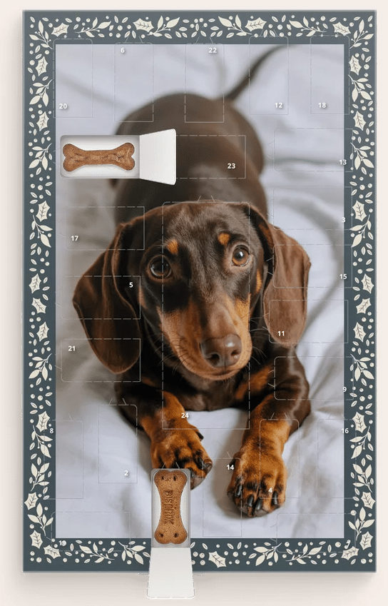 Adventskalender voor honden adventskalender voor honden - met foto